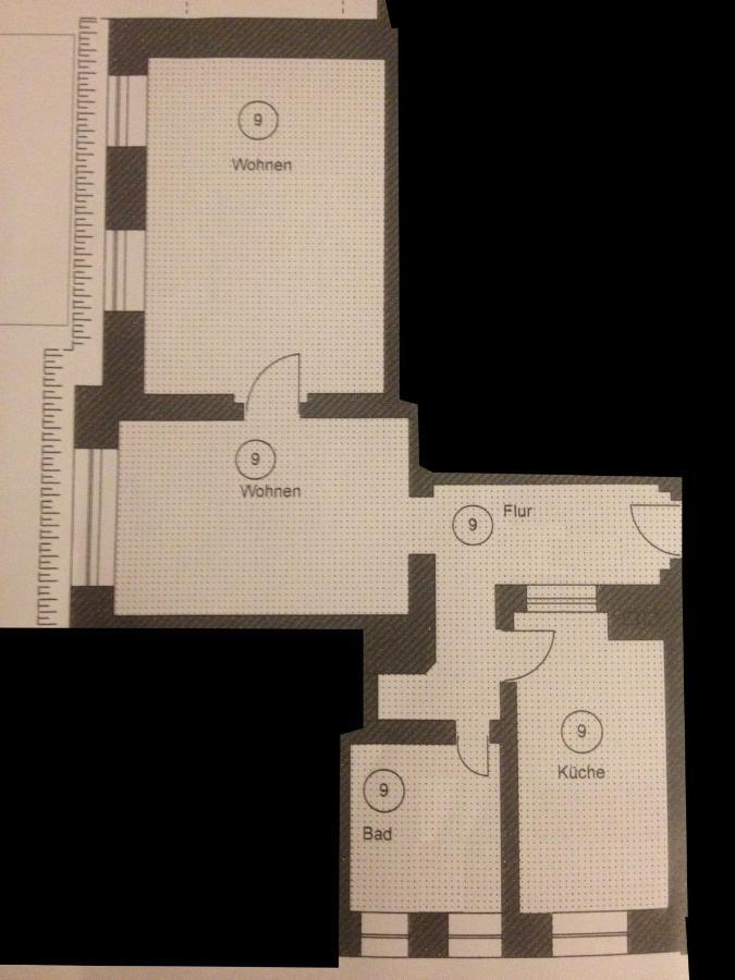 Wunderschoene Wohnung In Sanierter Villa! Incl Wifi Dresda Exterior foto
